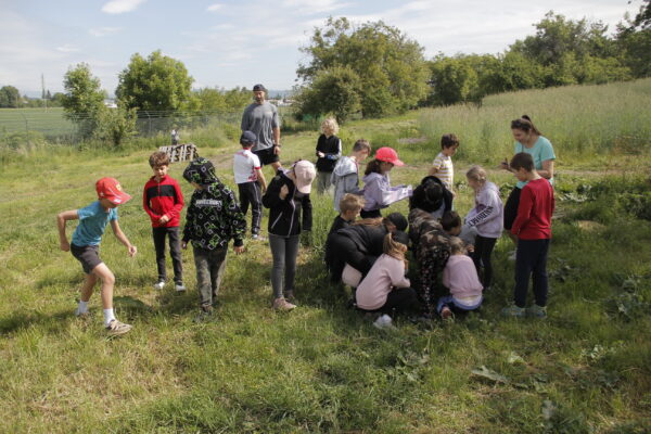 Dopolední survival program -Deník zálesáka | SFort - Image 10